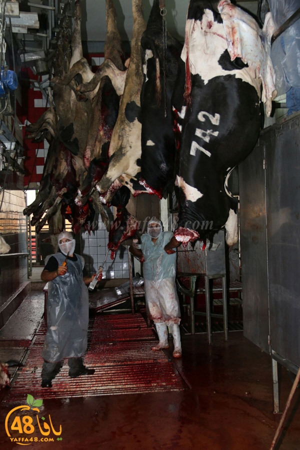 Jam3iya ada7ya (7).jpg